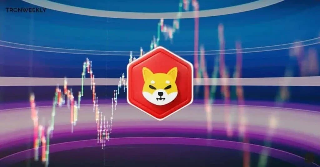 Shiba Inu Price Update: Bearish Trend and New Entry Potential