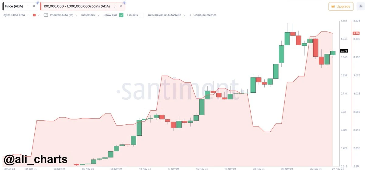 New Wallet Accumulates 60,000,000,000 Shiba Inu From Binance