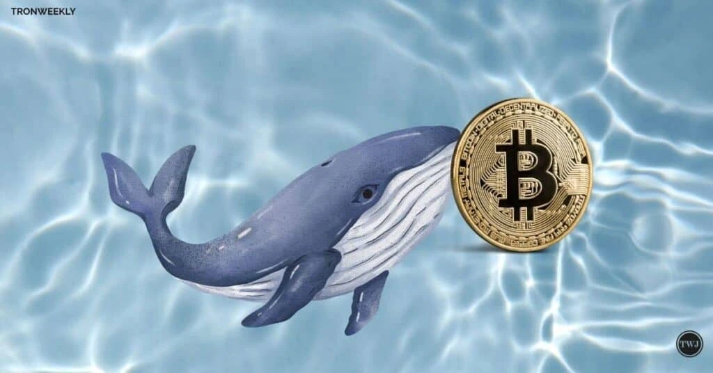 Bitcoins Price Struggle: Will Whales Drive the Next Surge?