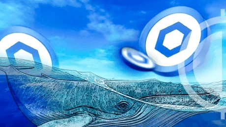 Chainlink Whales Accumulate $77 Million LINK Amid Price Correction  Details