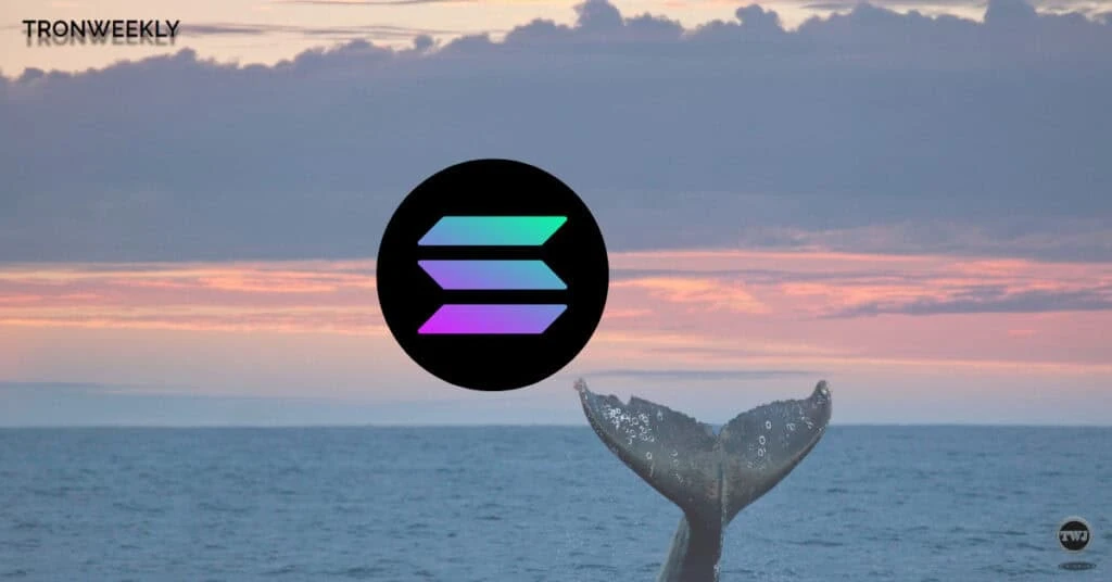 Solana Whale Buys $18 Million in Memecoins Amid Market Downturn