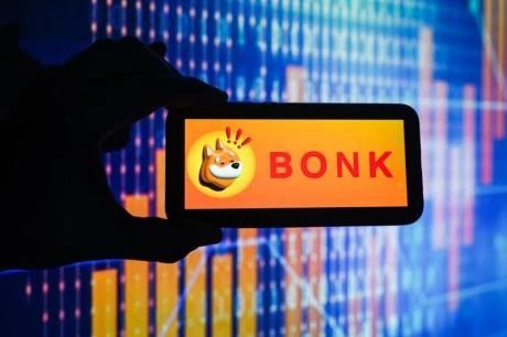 Solanas BONK Roundtrips Total Gains From 2024, Heres Why Its A Good Buy Now