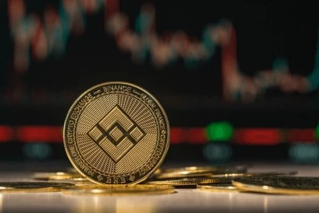 Binance Coin Critical Test: Will BNB Hold Or Plunge To $214?