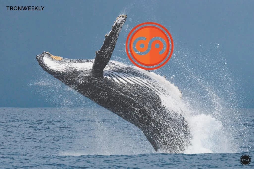 TITCOIN Whale Accumulation Signals Bullish Trend