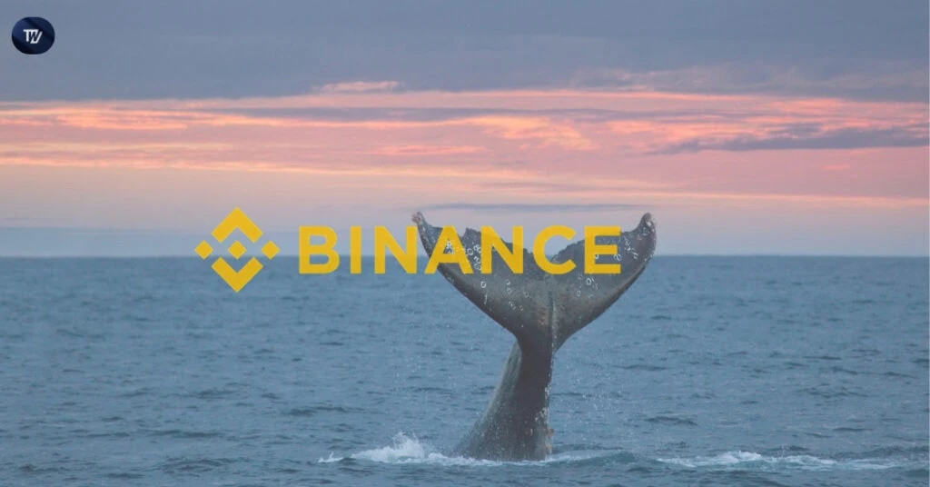 Whale Activity on Binance Dips: Will This Signal Stability or Further Decline?, Report