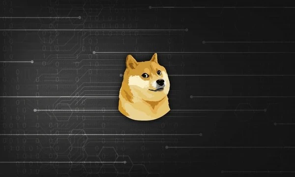 Dogecoin Price To Enter Phase E After Testing Last Point Of Support, Heres The Target