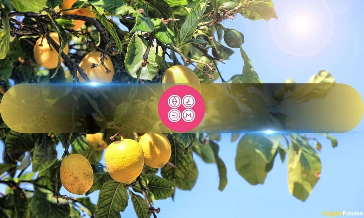 DeFiance Capital Founder Compares Altcoin Market to a Lemons Market