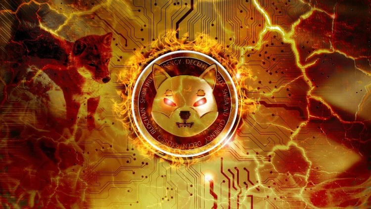 Finders Expert Predictions For Shiba Inu: How High Can The Price Go In 2025?
