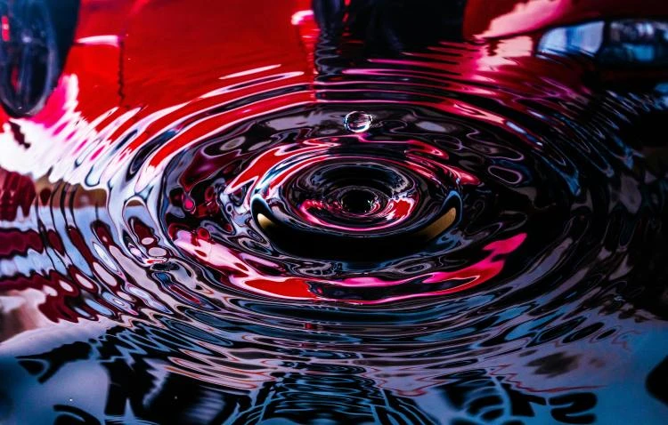Ripple Whale Activity SurgesWill $273 Million XRP Transfer Shake The Market?