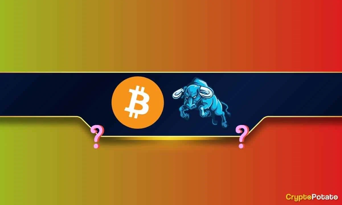 Is Bitcoins Bull Market Just Getting Started? This Crucial Metric Says So (Details)