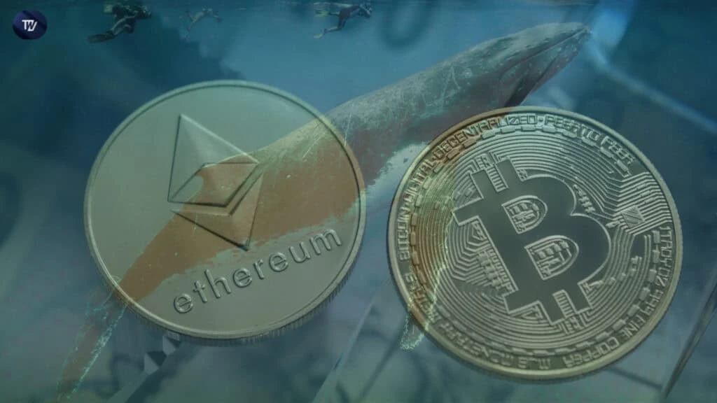 Crypto Whale Moves $110M Into Bitcoin and Ethereum, Bull Run Incoming?