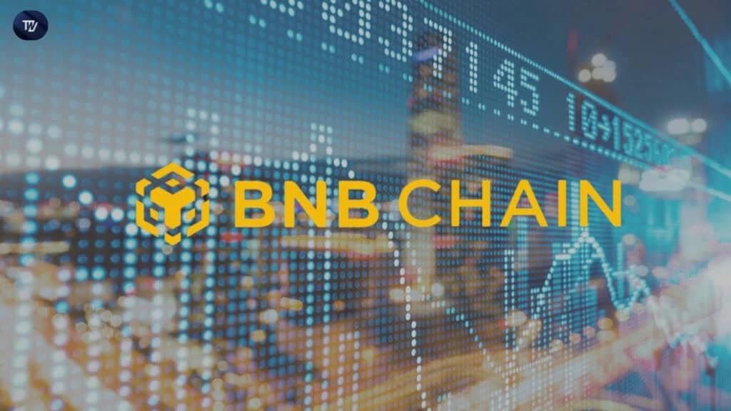 BNB Chain Surges in Q1 with Significant Growth Despite 15% Market Cap Drop
