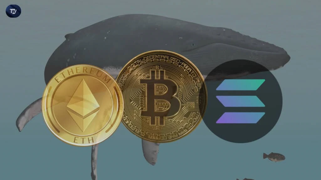 Crypto Whale Makes $9M Profit From Longing Top Crypto Tokens Like BTC, ETH, SOL