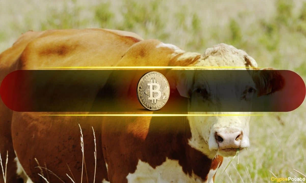 5 Signals That Show Most Bullish Bitcoin Setup Since 2020