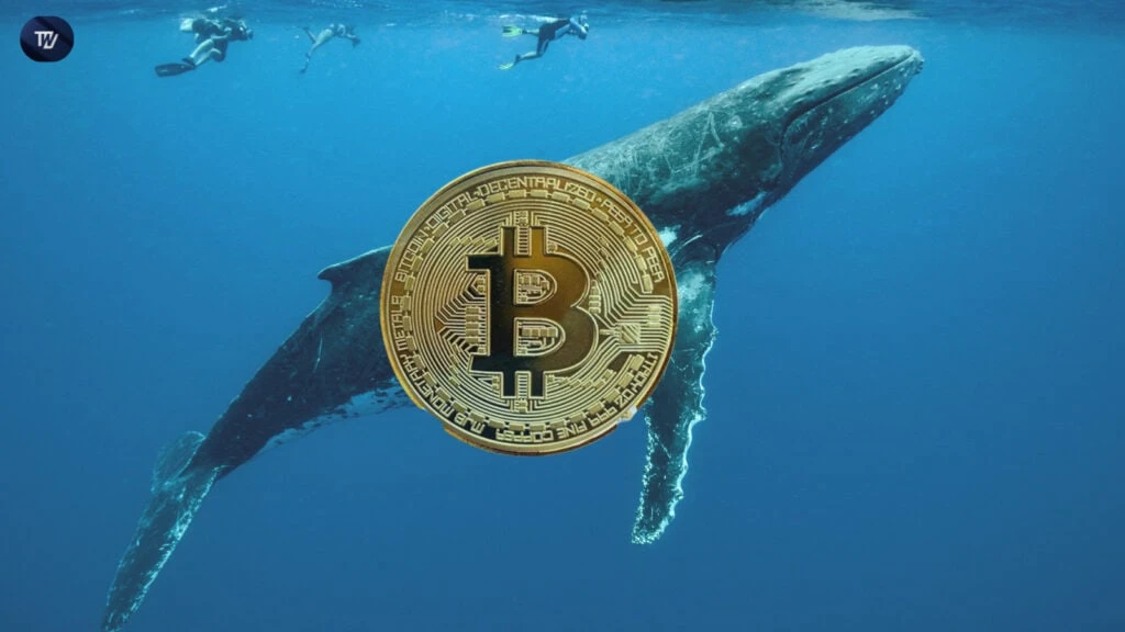 Dormant Whale Wallet Revives as $325M in Bitcoin Moves After 10 Years