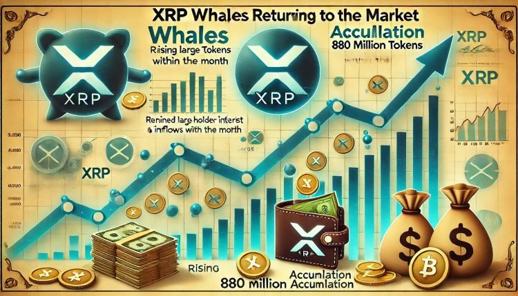 XRP Whales Are Back  880 Million Tokens Accumulated This Month