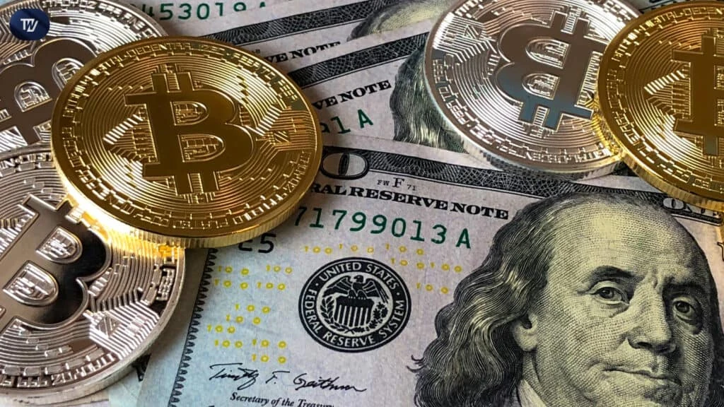 Bitcoin Whales Stir the Market with Nearly $500 Million in BTC Transfers