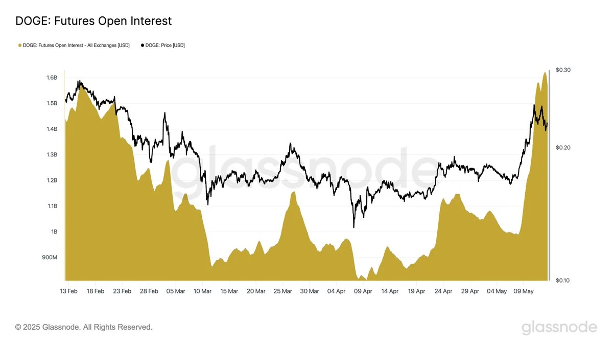 Dogecoin Open Interest Surges to $1.62B Despite Price Drop: Heres Whats Happening