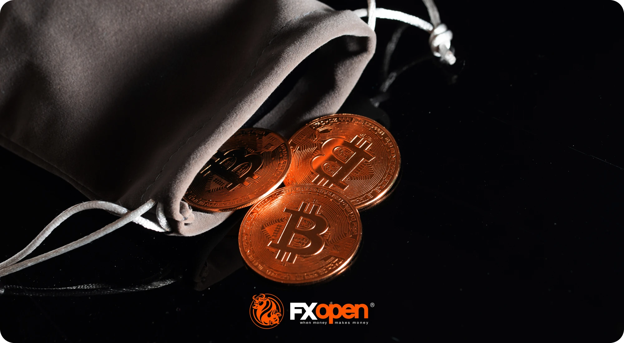 Who Is a Bag Holder in Stocks and Crypto?