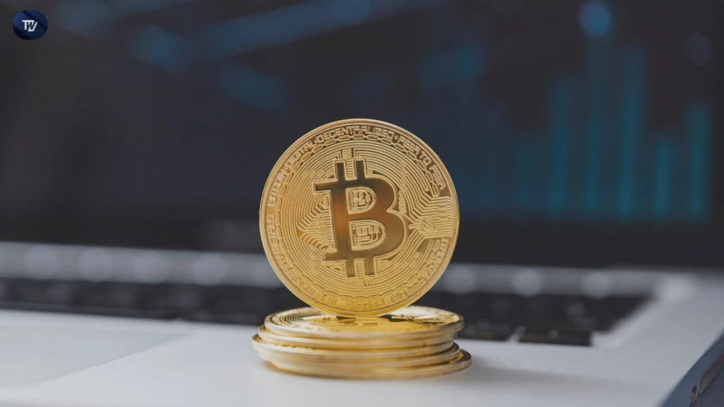 Bitcoin Wealth Gap Widens as Wallets with 10+ BTC Control Over 80% of Total Supply