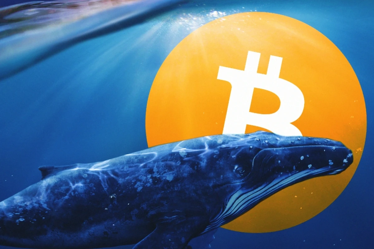Massive Whale Activity Detected: Over $700M in Bitcoin and XRP on the Move