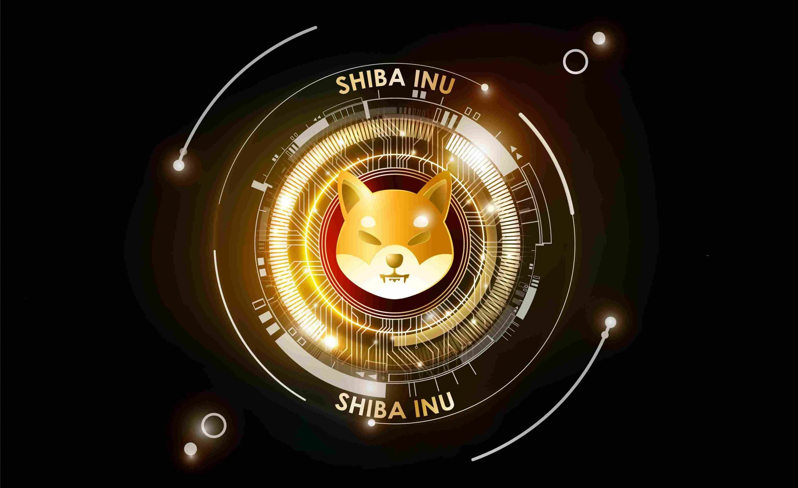Will Shiba Inu Coin Reach $1 Before July 1?