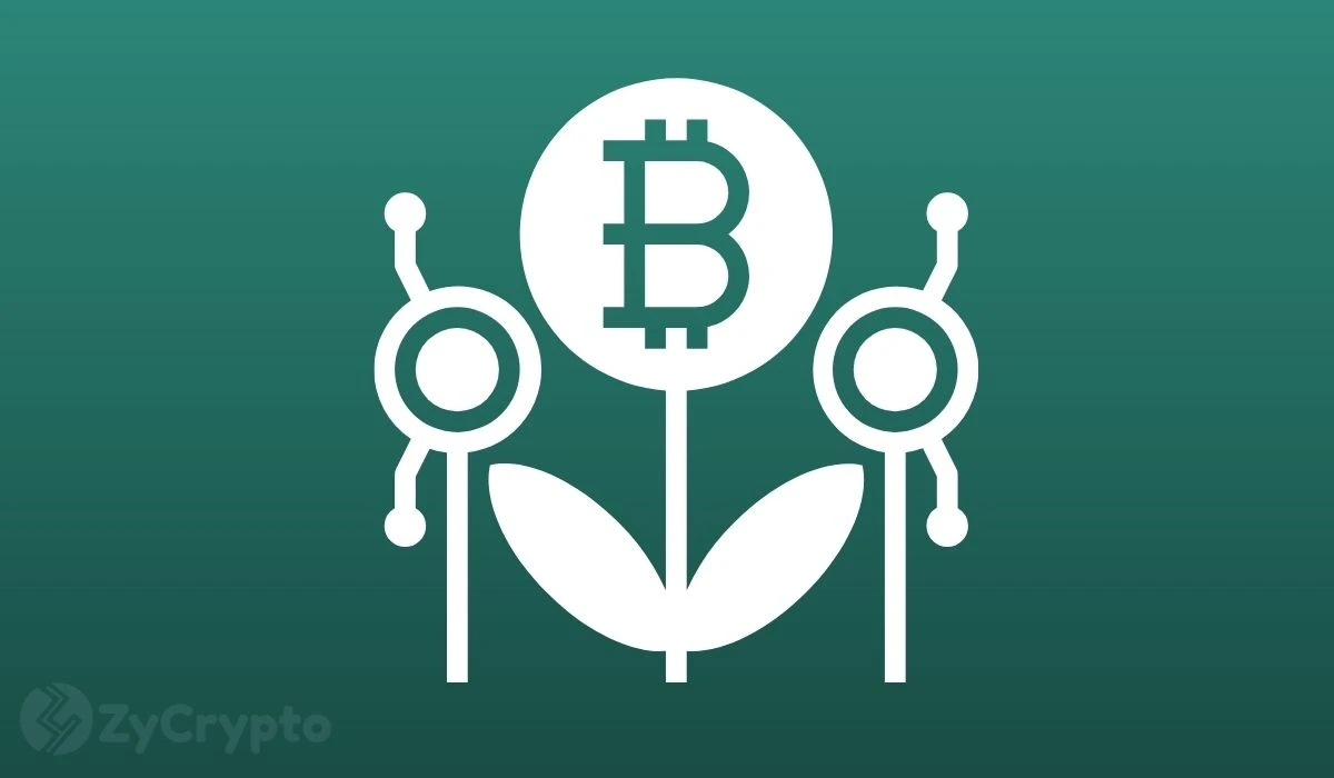 Bitcoin Is Headed To $1 Million Thanks To Increasingly Favorable Macro Tailwinds, Says Crypto Legend Hayes