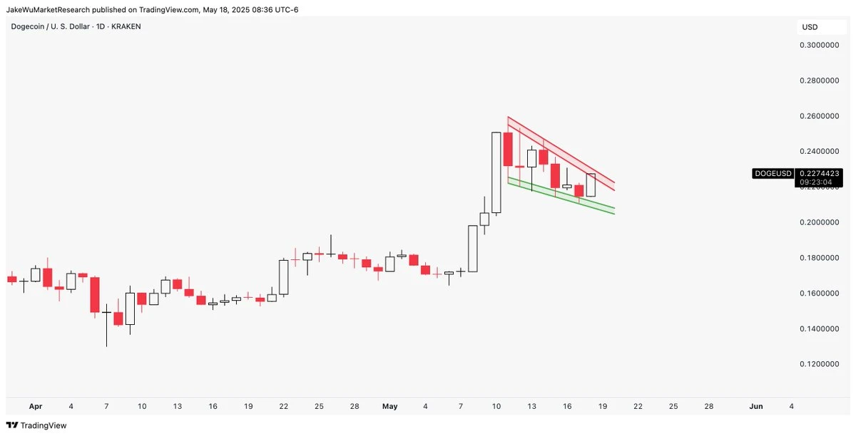 Analyst on Dogecoin: No Way Id Skip This Trade  Chart Signals a Run to $0.45
