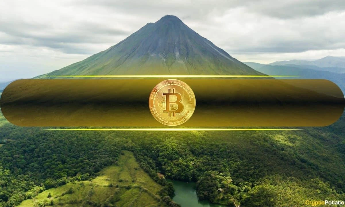 Bitcoins Realized Capitalization Hits Record $906B  Is a Bull Run Brewing?