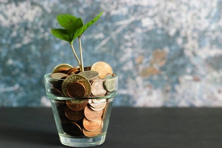 Only 5% Will Make It  XRP Expert Reveals Path To Riches