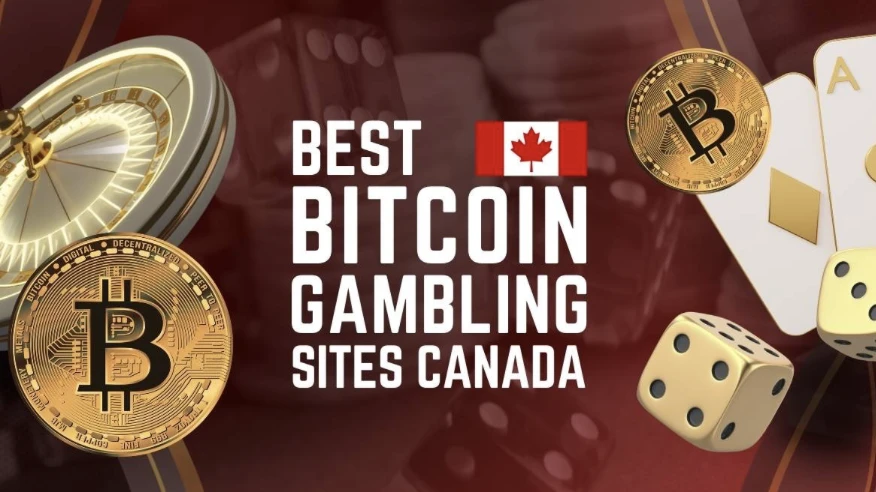 10 Best Bitcoin Gambling Sites Canada  Where to Gamble With BTC in 2025