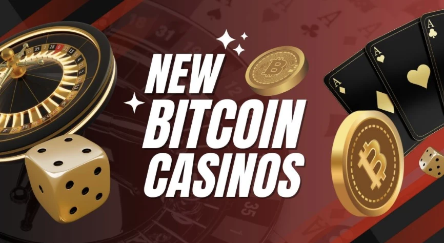 2025s Best New Bitcoin Casinos  Newest Crypto Casino Websites, Ranked by Experts