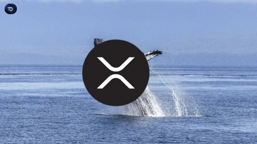 XRP Price Soars with 640M Whale Move and Ripple Possible Expansion