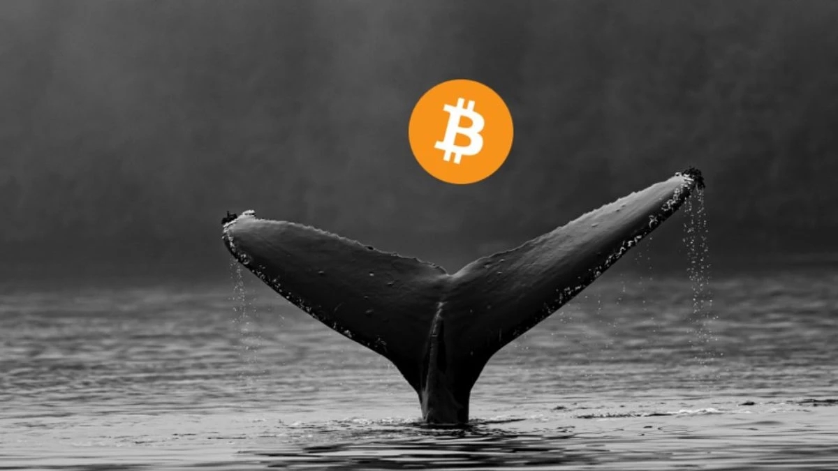 Massive Bitcoin Movements Detected: Over $1 Billion Transferred in Whale Activity Surge
