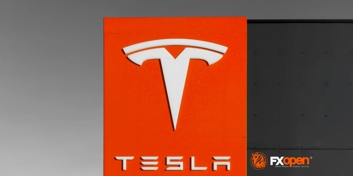 Tesla (TSLA) Shares Rebound on Musks Comments